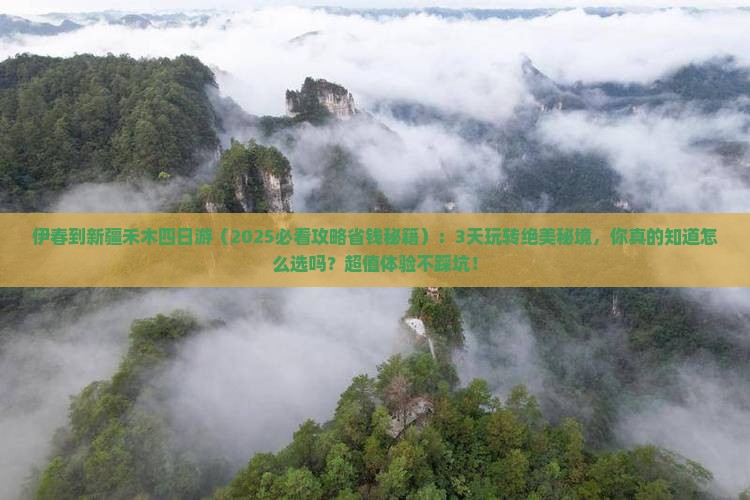 伊春到新疆禾木四日游