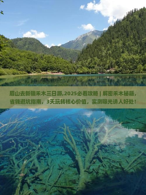 眉山去新疆禾木三日游