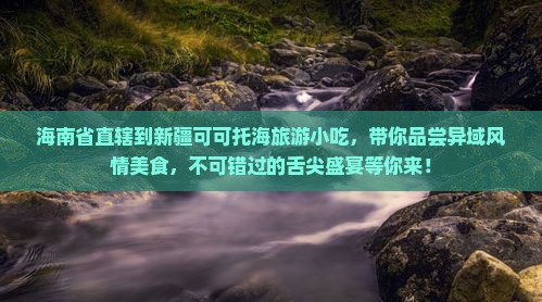 海南省直辖到新疆可可托海旅游小吃