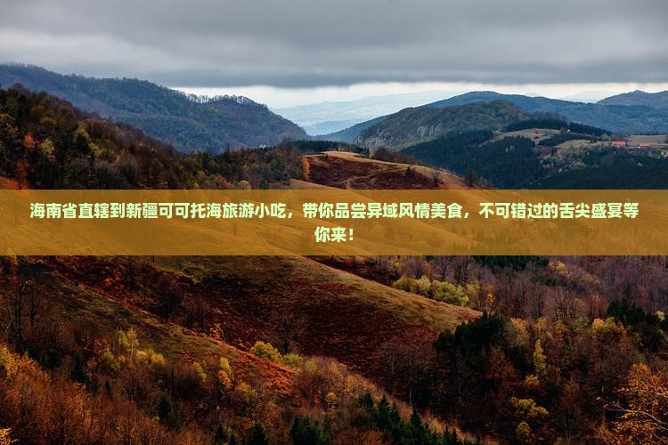 海南省直辖到新疆可可托海旅游小吃