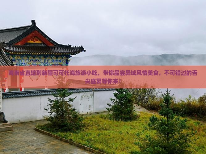 海南省直辖到新疆可可托海旅游小吃