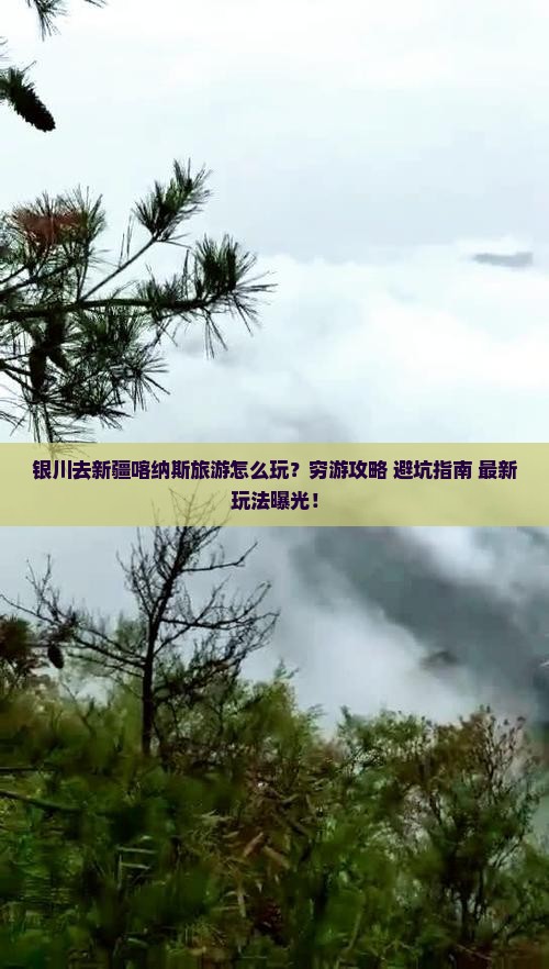 银川去新疆喀纳斯旅游