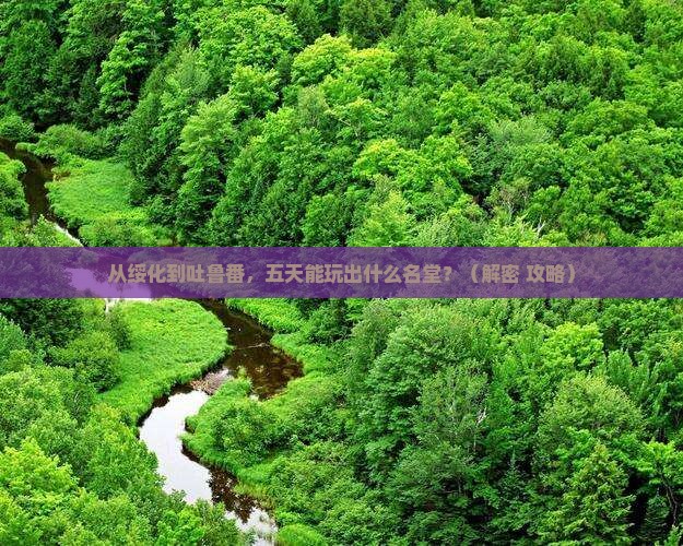 绥化到新疆吐鲁番五日游