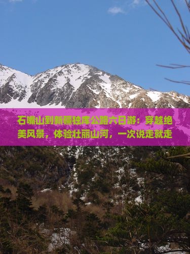 石嘴山到新疆独库公路六日游