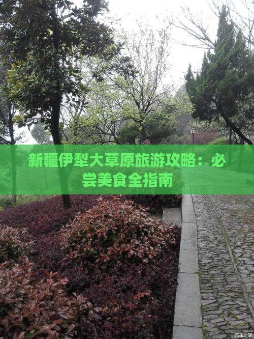 桐城到新疆伊犁大草原旅游小吃