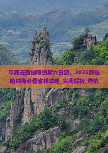 阜新去新疆喀纳斯六日游