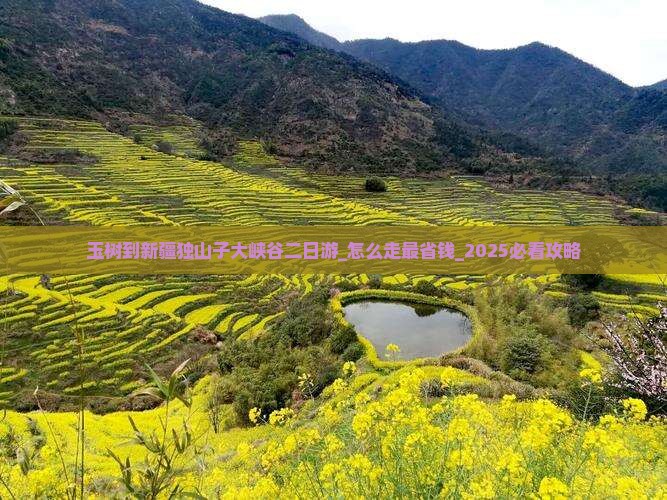 玉树到新疆独山子大峡谷二日游