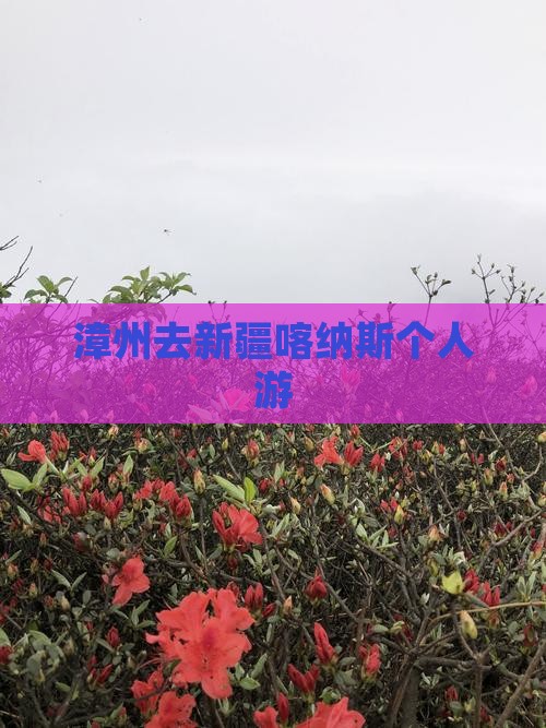 漳州去新疆喀纳斯个人游