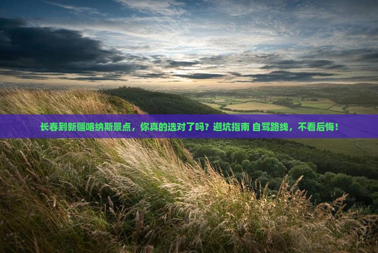 长春到新疆喀纳斯景点