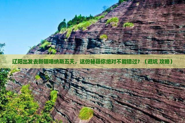 辽阳到新疆喀纳斯五日游