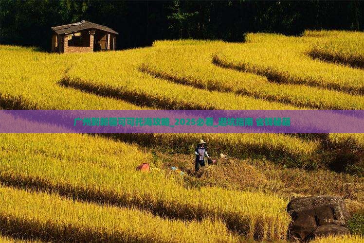 广州到新疆可可托海攻略