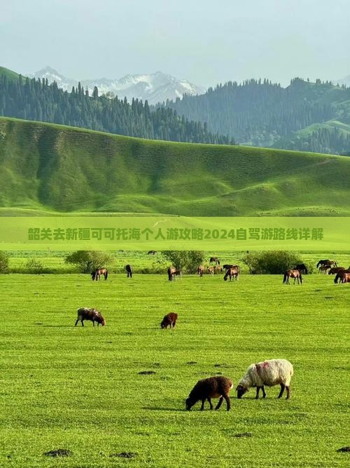 韶关去新疆可可托海个人游