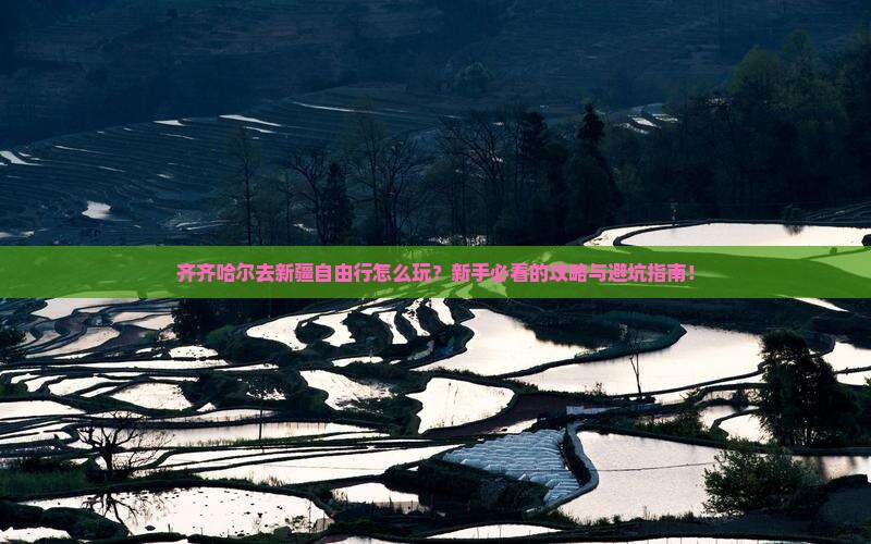 齐齐哈尔去新疆自由行