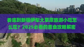 娄底到新疆伊犁大草原旅游小吃