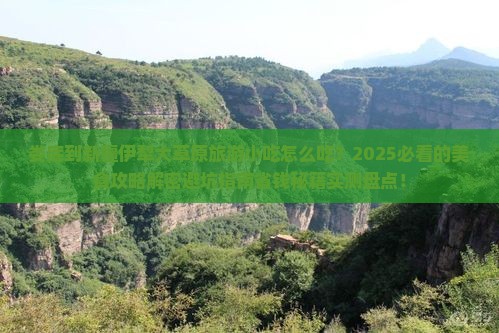 娄底到新疆伊犁大草原旅游小吃