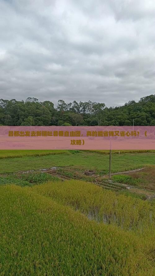 昌都去新疆吐鲁番自由团