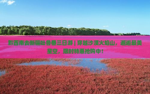 黔西南去新疆吐鲁番三日游