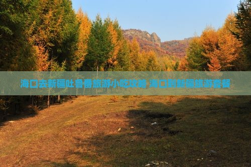 海口去新疆吐鲁番旅游小吃