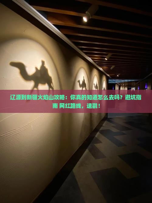 辽源到新疆火焰山攻略