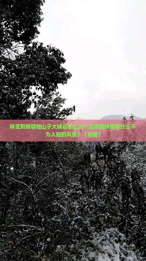 林芝到新疆独山子大峡谷必去地