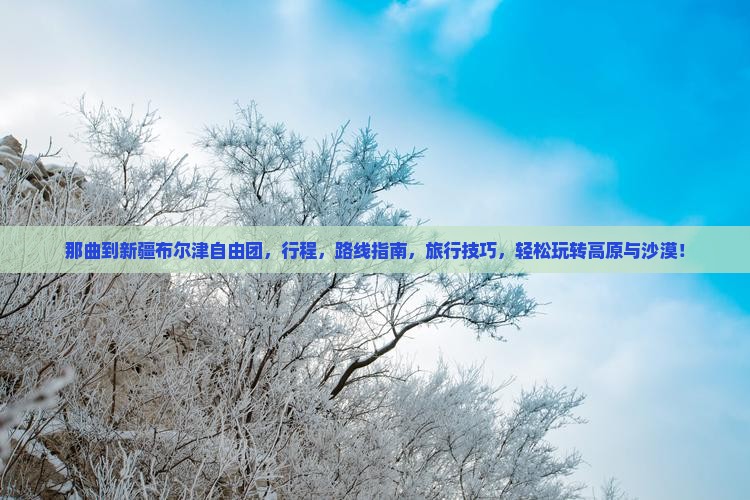 那曲到新疆布尔津自由团