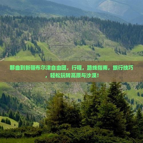 那曲到新疆布尔津自由团