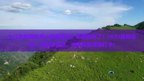 九江到新疆独库公路哪里玩