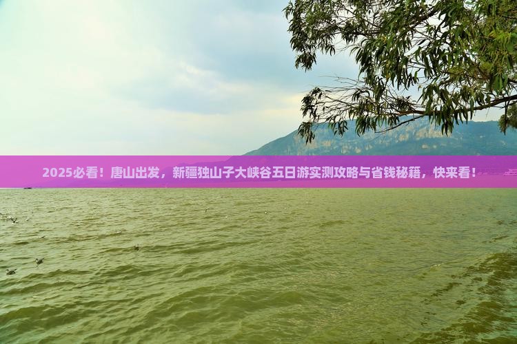 唐山去新疆独山子大峡谷五日游