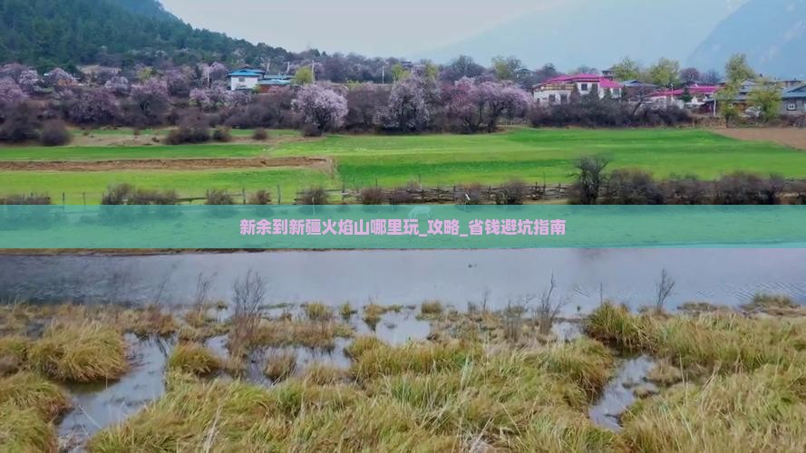新余到新疆火焰山哪里玩