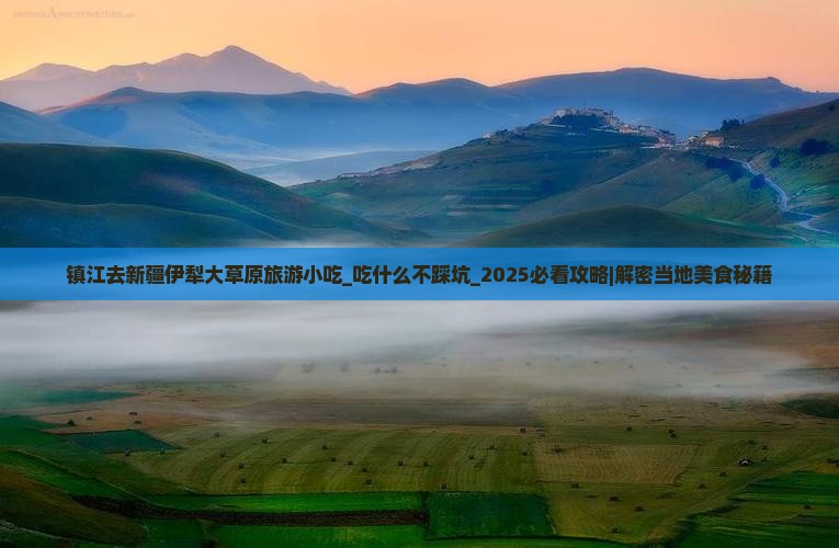 镇江去新疆伊犁大草原旅游小吃
