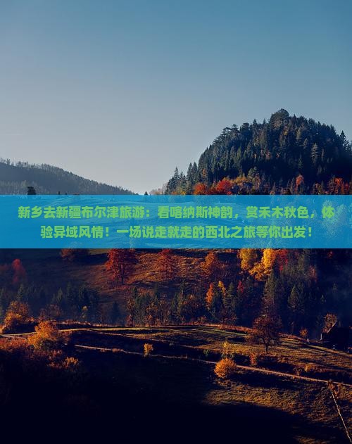 新乡去新疆布尔津旅游