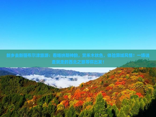 新乡去新疆布尔津旅游