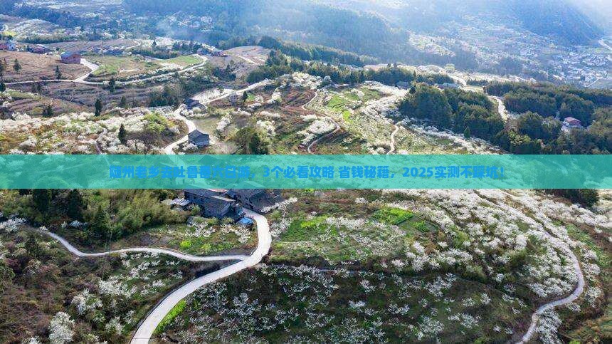 随州去新疆吐鲁番六日游