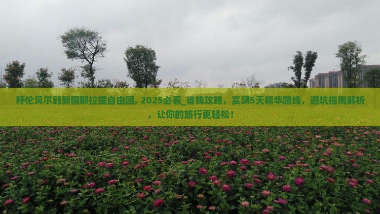 呼伦贝尔到新疆那拉提自由团