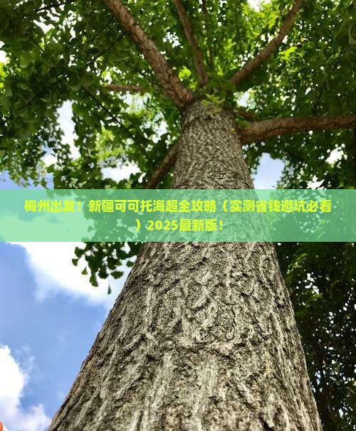 梅州到新疆可可托海攻略