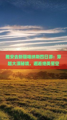 雅安去新疆喀纳斯四日游