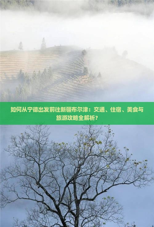 如何从宁德出发前往新疆布尔津：交通、住宿、美食与旅游攻略全解析？