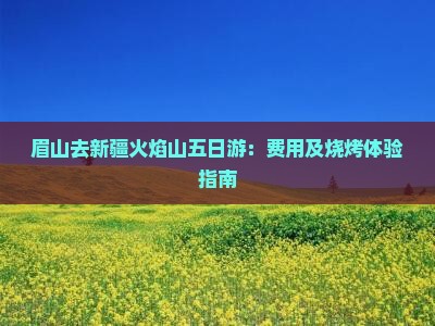 眉山去新疆火焰山五日游：费用及烧烤体验指南