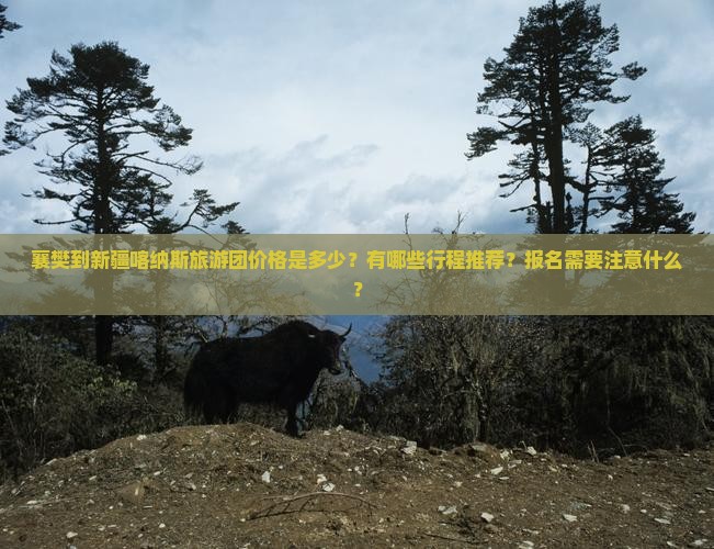 襄樊到新疆喀纳斯旅游团价格是多少？有哪些行程推荐？报名需要注意什么？