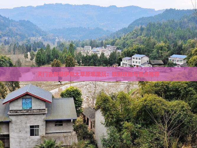 天门去新疆伊犁大草原哪里玩：旅游攻略与景点推荐