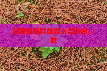 宜昌到新疆旅游必尝特色小吃