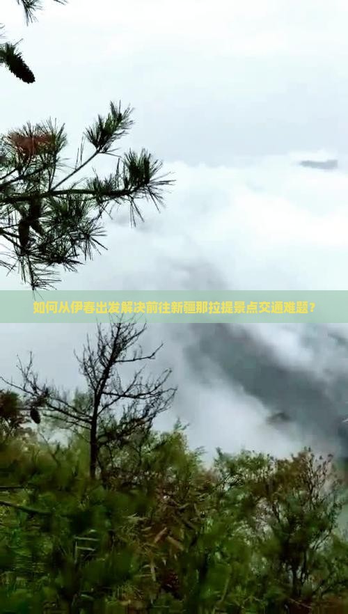如何从伊春出发解决前往新疆那拉提景点交通难题？