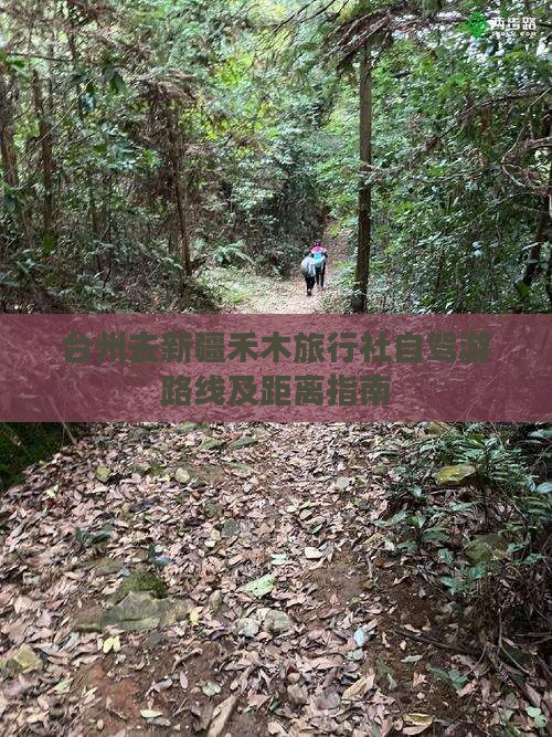 台州去新疆禾木旅行社自驾游路线及距离指南