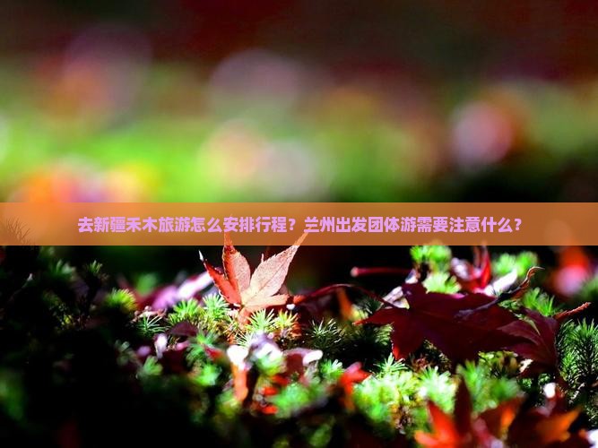 去新疆禾木旅游怎么安排行程？兰州出发团体游需要注意什么？
