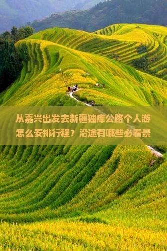 从嘉兴出发去新疆独库公路个人游怎么安排行程？沿途有哪些必看景点？