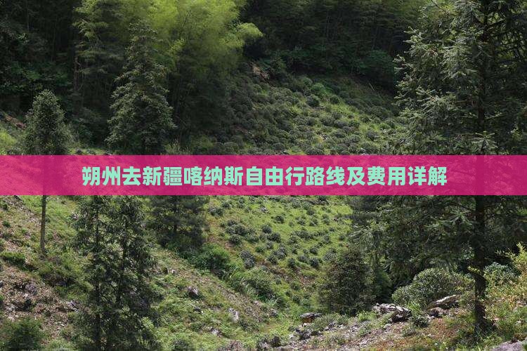 朔州去新疆喀纳斯自由行路线及费用详解