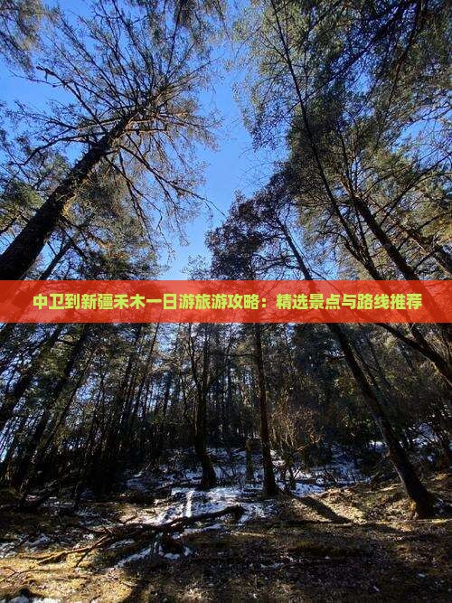 中卫到新疆禾木一日游旅游攻略：精选景点与路线推荐