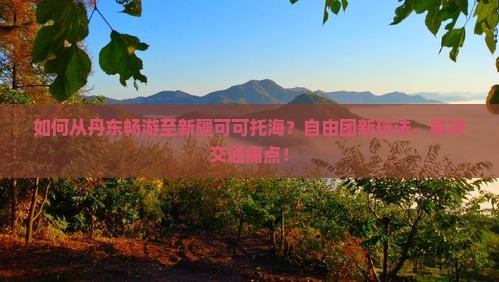 如何从丹东畅游至新疆可可托海？自由团新玩法，解决交通痛点！