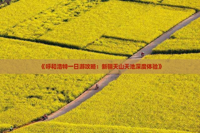 《呼和浩特一日游攻略：新疆天山天池深度体验》