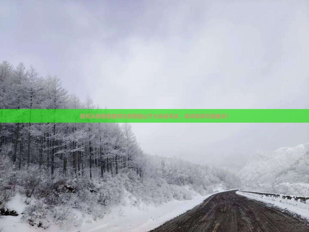 如何从衡阳便捷前往新疆独山子大峡谷景点，解决旅游交通痛点？